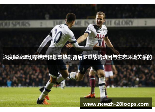 深度解读波切蒂诺选择加盟热刺背后多重战略动因与生态环境关系的 深度解读波切蒂诺选择加盟热刺背后多重战略动因与生态环境关系的